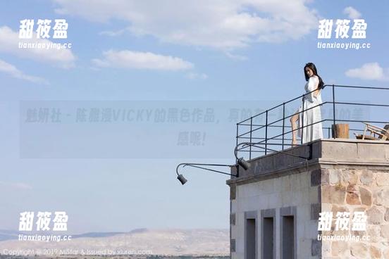 魅妍社-陈雅漫VICKY 魅妍社 - 陈雅漫VICKY的黑色作品,真的有一种让人窒息的美感呢!